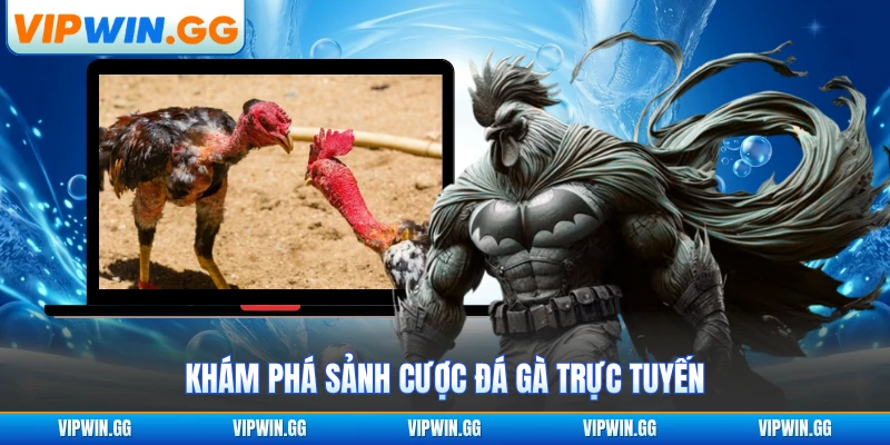 Khám phá sảnh cược đá gà trực tuyến