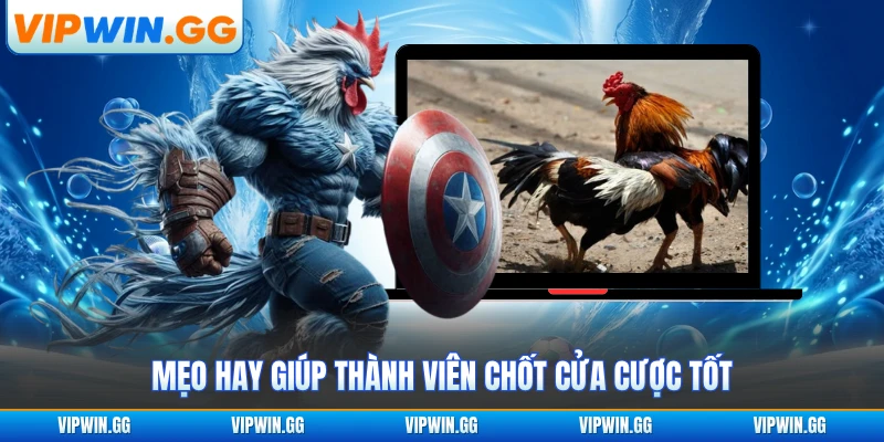 Mẹo hay giúp thành viên chốt cửa cược tốt