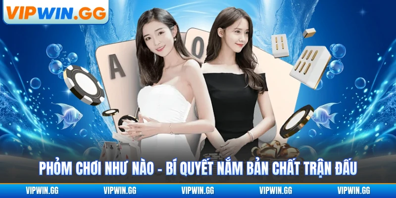 Phỏm Chơi Như Nào - Bí Quyết Nắm Bản Chất Trận Đấu