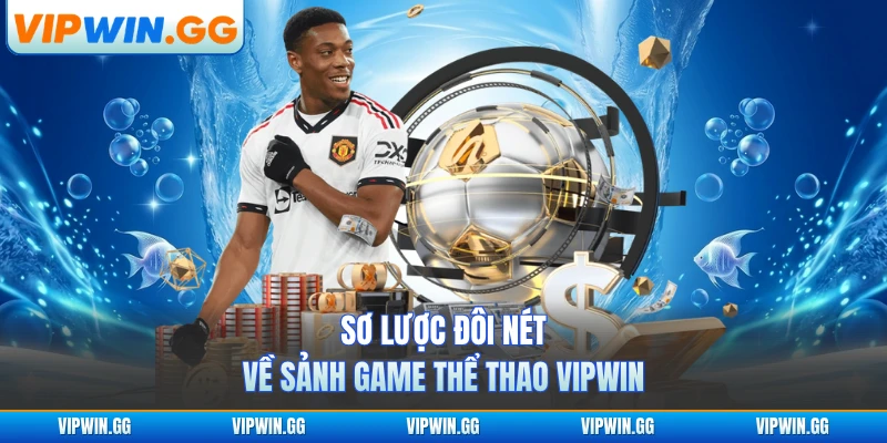 Sơ lược đôi nét về sảnh game thể thao Vipwin