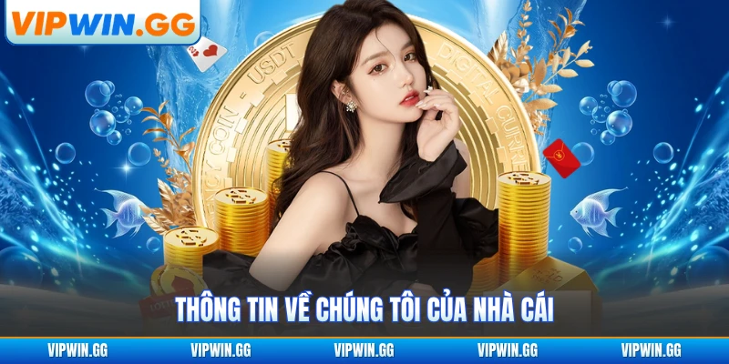 Thông tin về chúng tôi của nhà cái