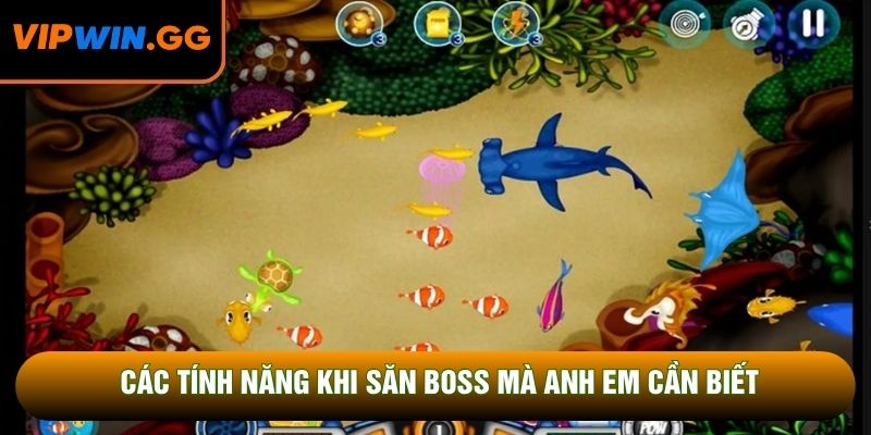 Các tính năng khi săn boss mà anh em cần biết