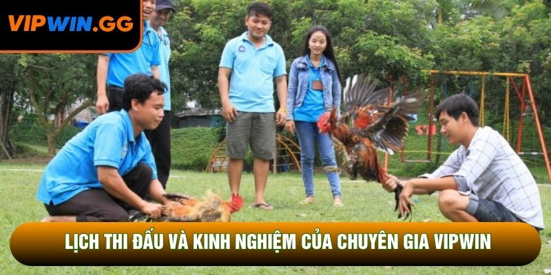 Lịch thi đấu và kinh nghiệm của chuyên gia VIPWIN