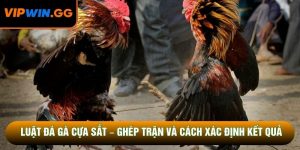 Luật Đá Gà Cựa Sắt – Ghép Trận Và Cách Xác Định Kết Quả